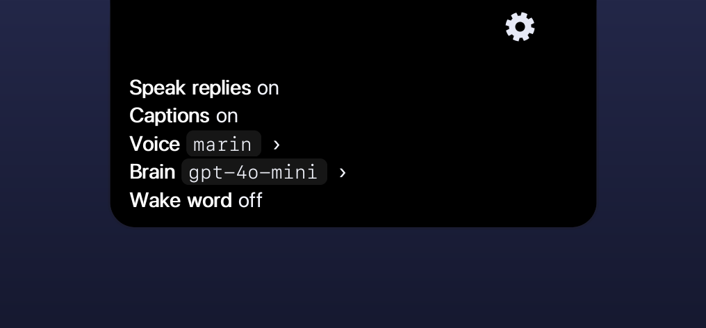 Settings panel blooming out of the notch